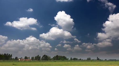 Fluffy Cumulus Clouds on Green Meadow and Fields