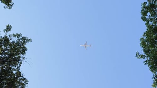 Airplane Flies Through Blue Sky Framed by Trees