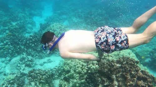 Snorkeling