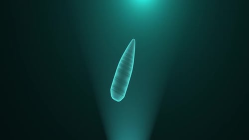 Holograma digital Bullet Hud