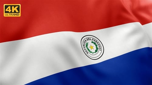 Paraguayan Flag Waving Loopable Motion Background