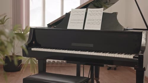 Piano de cola negro