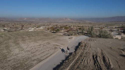 Horse Riding on Rural Road, Aerial View