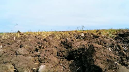 Se déplace sur le terrain avec une terre labourée