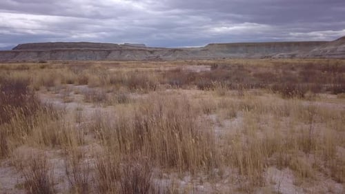Flying low over tall grass in the desert