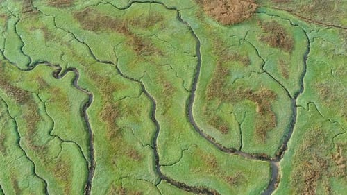 Aerial view of small stream crossing wetland, Netherlands.