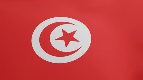 Realistic Waving Flag of Tunisia Seamless Loop