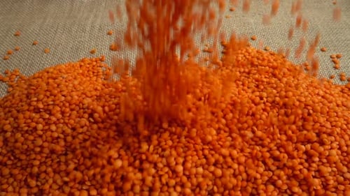 Red Lentils Pouring on Burlap Surface