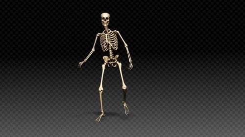 Skeleton-Show Tanz Hip-Hop