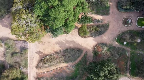Aerial forward shot of an empty unique park filled with trees and plants, on a sunny day.