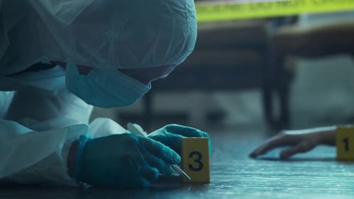 Forensic Scientist Examines Crime Scene Evidence
