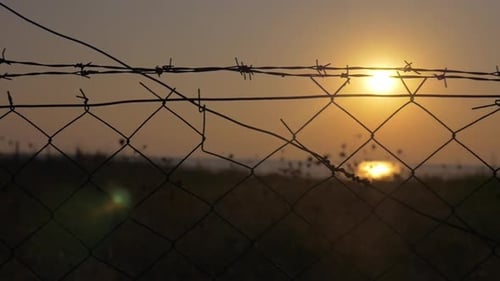 Wire Fence with Peaceful Sunrise Over Water