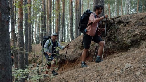 Group of People Walking in Mountains with Poles Enjoying Nordic Walk Together