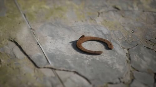 Old Rusted Horseshoe Lying on Cracked Stone Ground