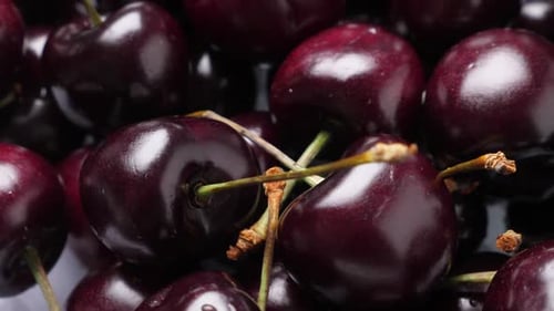 Viele rote und reife Kirschen rotieren