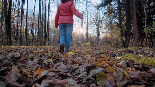 Woman and Terrier Walk in Forest