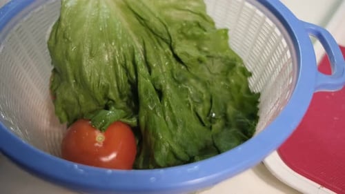 Person Prepares Fresh Salad Vegetables At Home