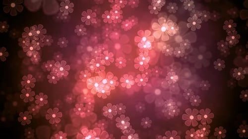 Romantic Pink Glowing Flower Petals Bokeh Background Loop