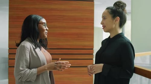 Diverse Female Colleagues Having Discussion