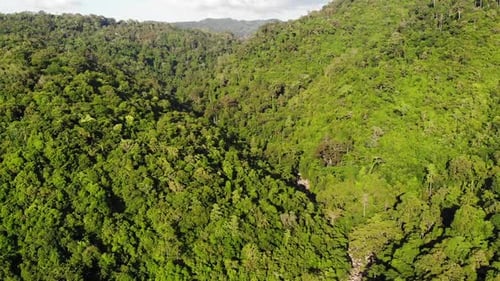 Green Jungle on Hills. Tropical Trees Growing on Hilly Terrain on Koh Samui Island. Way To Waterfall