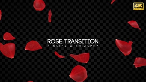 Falling Red Rose Petals Transition with Alpha Channel