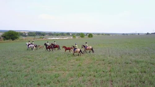 Die Leute reiten zu Pferd