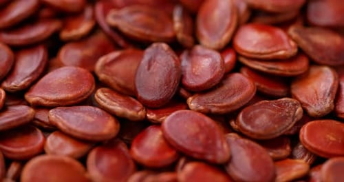 Stack of red melon seed
