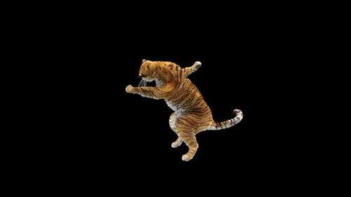 Tiger-Tanz HD