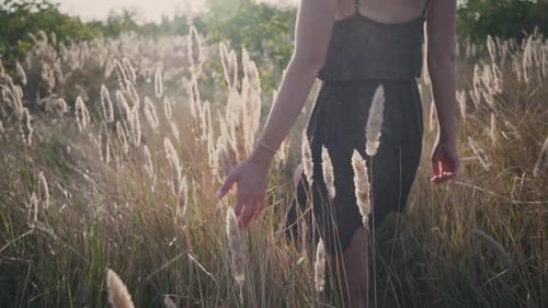 Beautiful Young Woman in the Field with Flowers and Spikelets