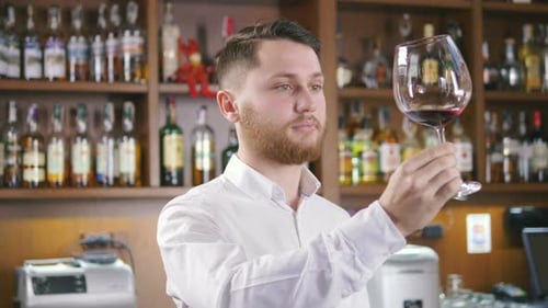 Young Adult Testing Red Wine at Bar