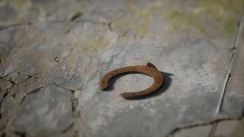 Old Rusty Horseshoe on Rough Stone Ground