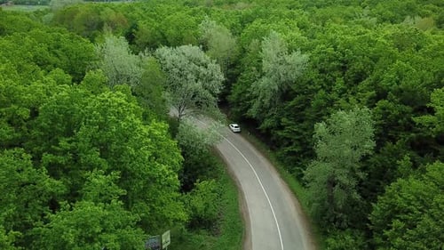 Aerial Top Down View of White Car Driving on Rural Road in Forest
