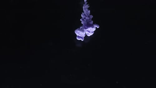 Purple Ink Plume Flowing into Dark Liquid