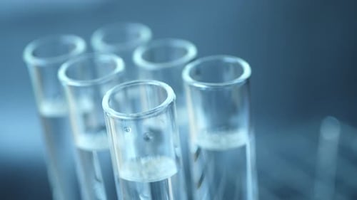 Glass Test Tubes Containing Clear Liquid in Lab