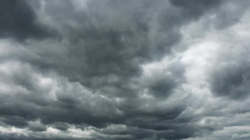 Majestic Gray Clouds Flying Over the Horizon