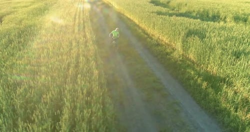 Aerial View on Young Boy, That Rides a Bicycle Thru a Wheat Grass Field on the Old Rural Road