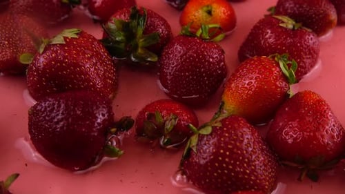Falling strawberries into the water on a pink background. Slow motion.