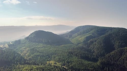 Aerial view of mountains covered with forest trees with blue sky above.