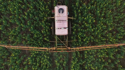 Top View of Tractor Treats Agricultural Plants on the Field