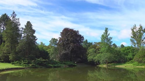 Park