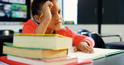 Young Student Studying Hard in Class