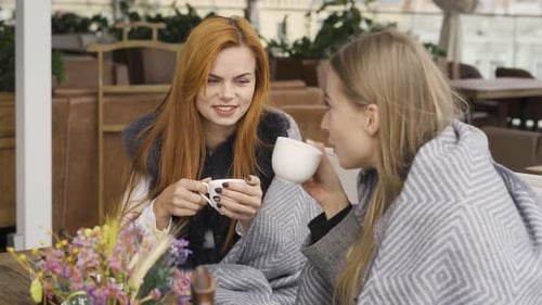 Two Pretty Caucasian Girlfriends Covered in Blankets Sitting in the Cafe Chatting and Drinking Hot