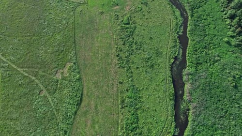 Fluss und grüne Felder auf dem Land