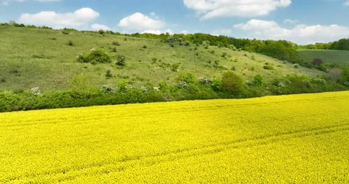 Luftaufnahme des Rapsfeldes und der Hanglage des Teutoburger Waldes, Deutschland