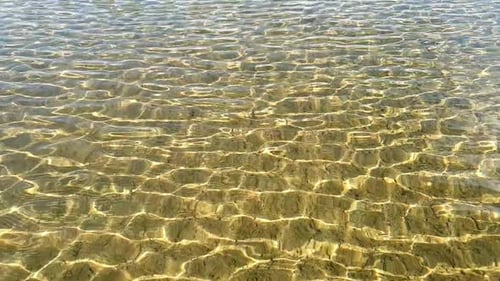 Crystal Clear Water Reflects Sunlight