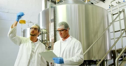 Two brewers checking pint of beer 4k