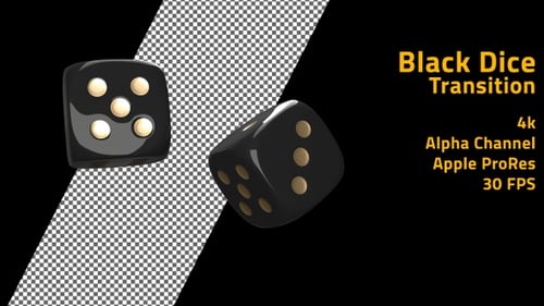 3D Rendered Dice Roll Animation