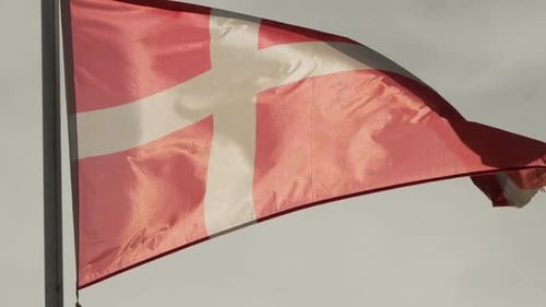Denmark Flag