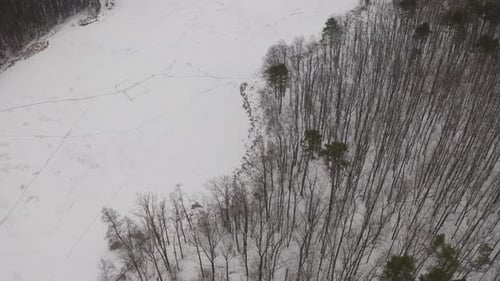 Frozen Ice Of The River Near The Forest
