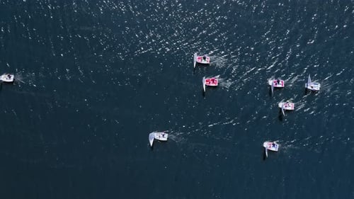 Vista desde arriba de los veleros en el lago durante la competición